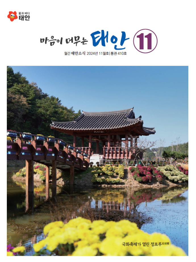 태안소식 11월호