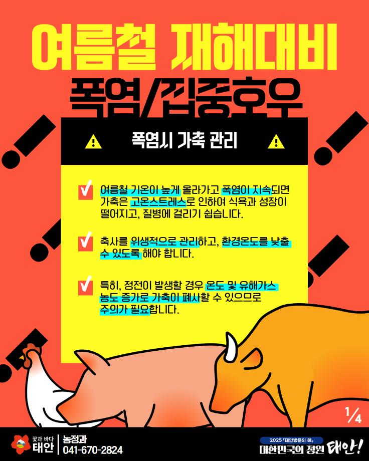 여름철 재해대비 가축관리 요령