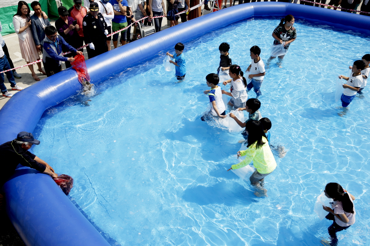 태안군, 수산물 축제와 함께 여름의 시작 즐기세요!