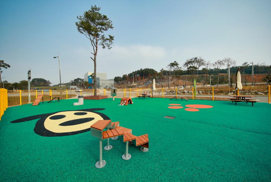반려동물 놀이터 3