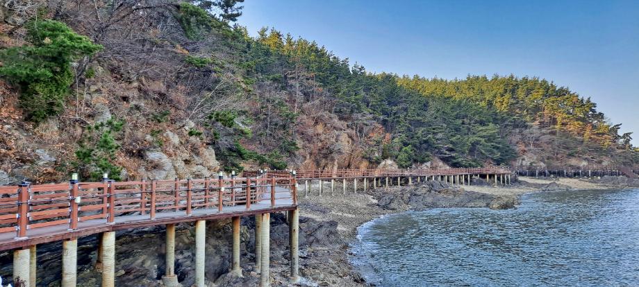 태안 코리아둘레길 1(솔향기길)