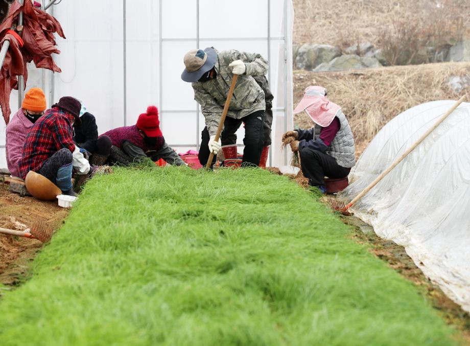 노인일자리 사업 추진