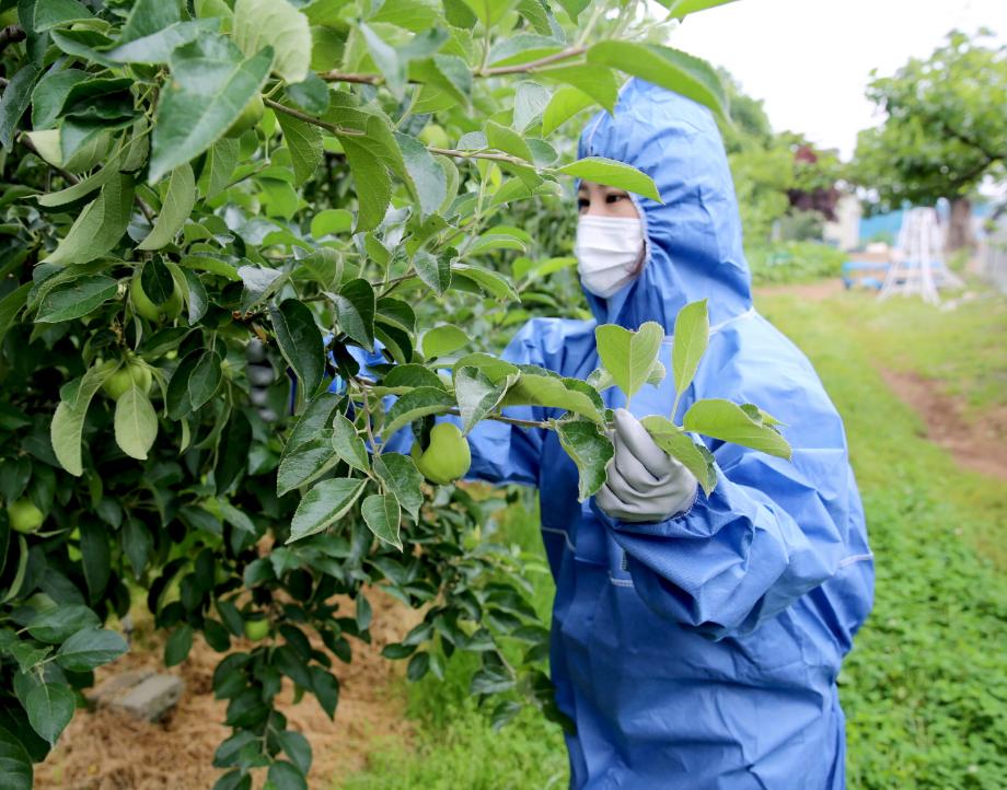 과수화상병 약제 지원 2