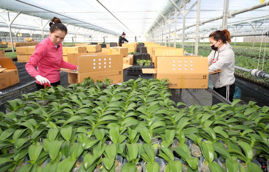 시설원예 및 화훼 농가 지원 1