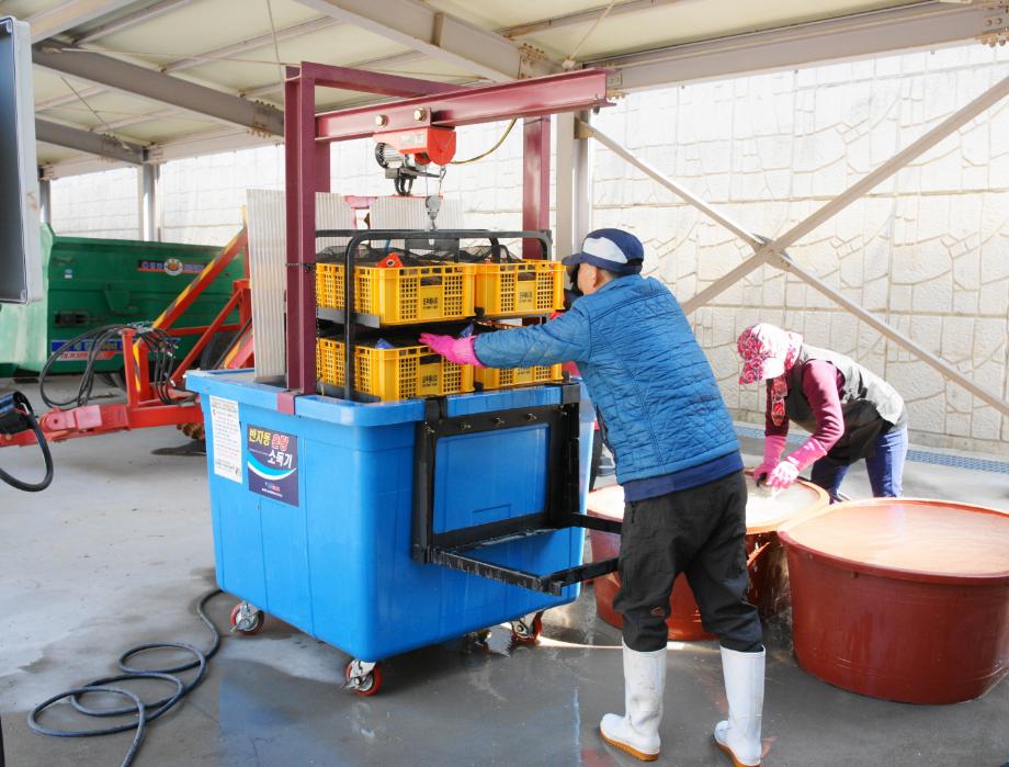 볍씨 온탕소독 서비스