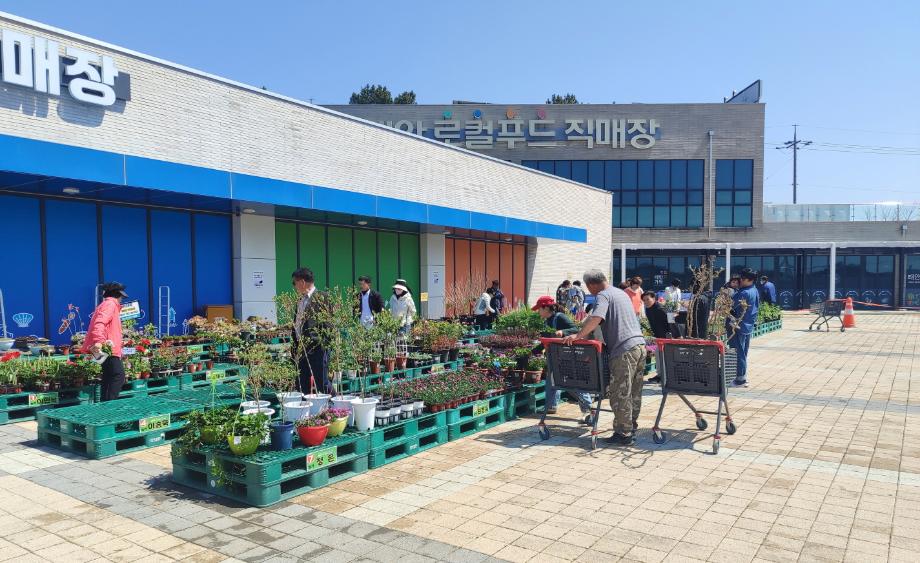 로컬푸드 직매장 꽃축제