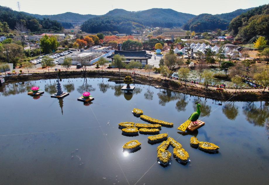 태안 국화축제 폐막 1
