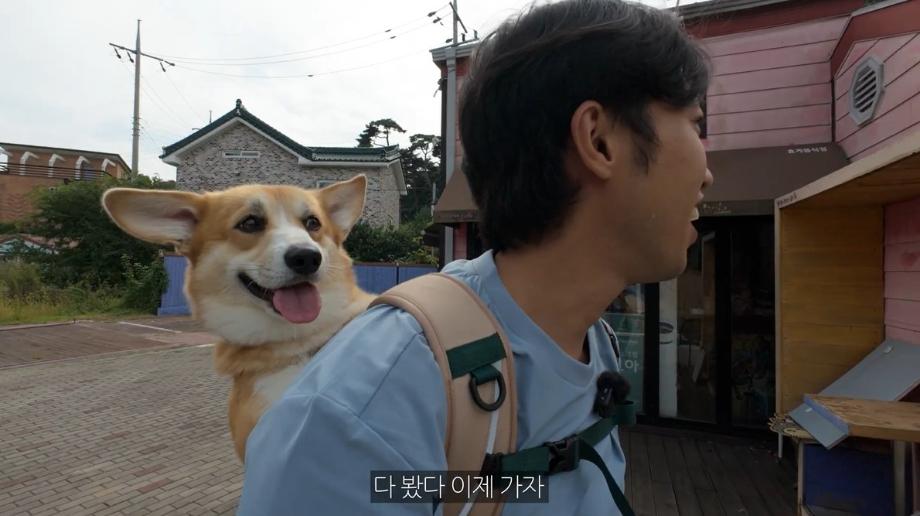 반려동물 동반여행 콘텐츠 공모전 마무리 1(대상 박민원 씨 영상